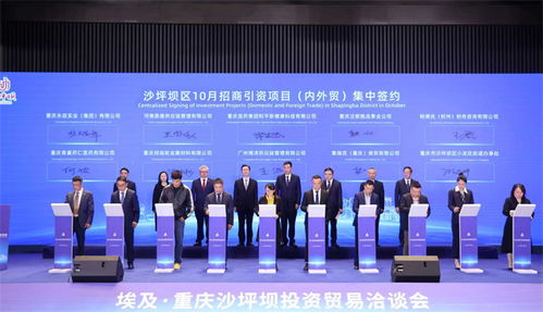 重慶沙坪壩投資貿易洽談會成功舉行，簽約6個對非經貿合作項目助力信息咨詢服務升級